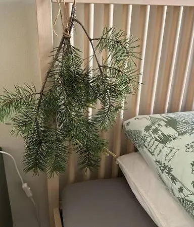 Appartement Boreal Forest Uittomestari *