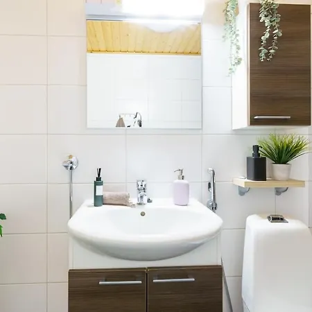 Boreal Forest Uittomestari