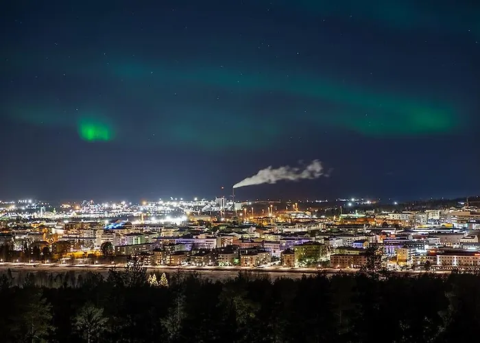 Boreal Forest Uittomestari Rovaniemi