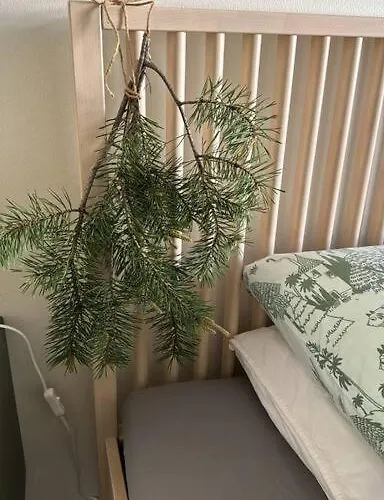 Appartement Boreal Forest Uittomestari *